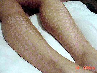 Кадр телеканалу АБС