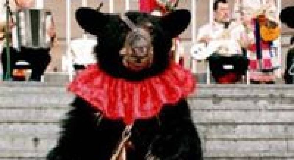 Bulgaria`s rescued bears still dance alone
