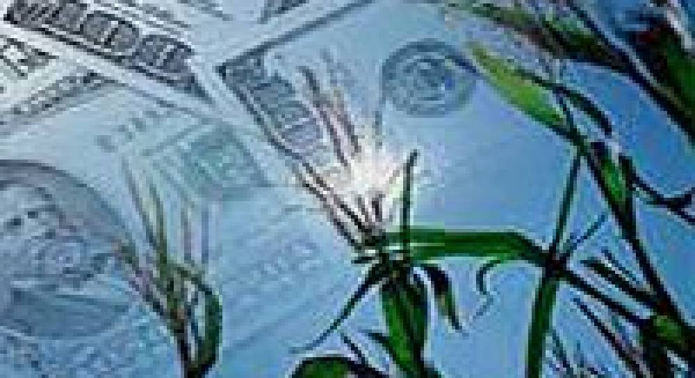 Як в Житомирі БЮТ та Наша Україна спіткнулись об землю…