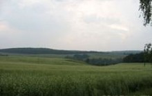 У пошуках героя