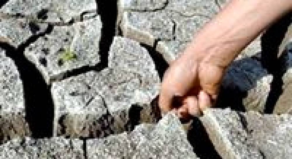 Посуха: чи буде Україна з хлібом?