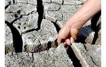 Засуха: будет ли Украина с хлебом?