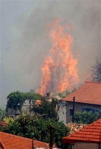 Пожар, вызванный жарой, в с. Маврики на юге Греции. (AP Photo)