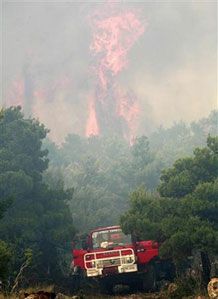 Пожарный расчет на тушении вызванного жарой лесного пожара на запад от Афин, Греция. (Фото Reuters)