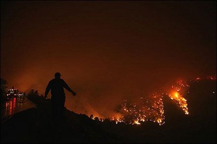 Пожарные гасят огонь в Национальном парке Гора Парнита, в 20 км на северо-запад от Афин. (Photo AFP)