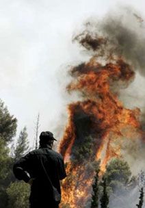 Пожары в Греции и Италии (22 фото)