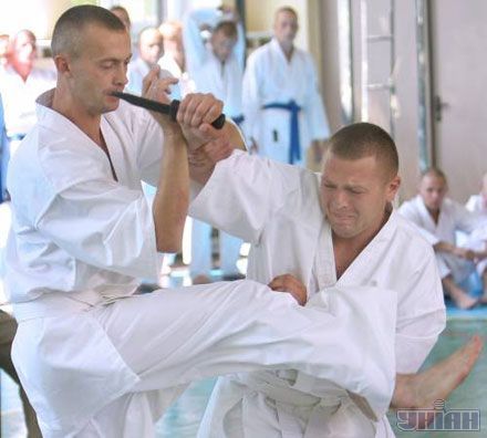 Украинские военные принимают участие в открытом чемпионате аэромобильных войск по рукопашному бою по случаю 15-й годовщины со дня создания аэромобильных войск ВСУ, 28 июля 2007 г.