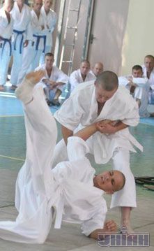 Украинские военные принимают участие в открытом чемпионате аэромобильных войск по рукопашному бою по случаю 15-й годовщины со дня создания аэромобильных войск ВСУ, 28 июля 2007 г.