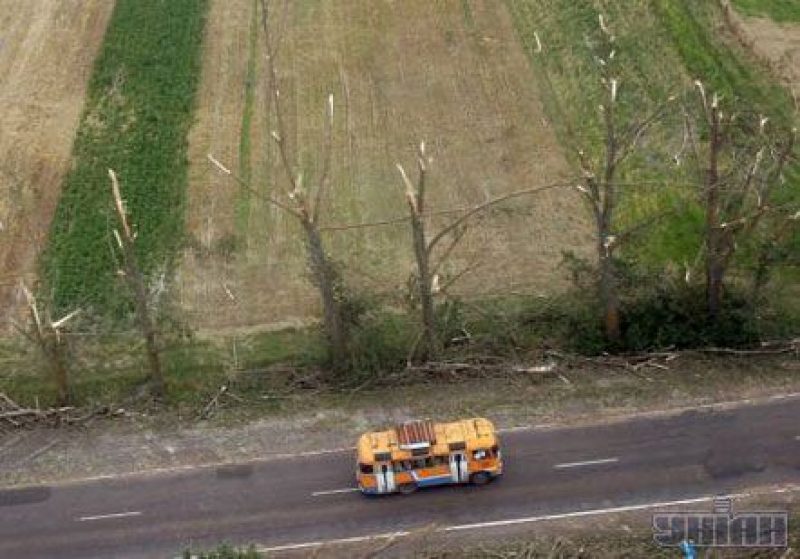 Сломанные ураганом деревья возле районного центра Волынской обл. г. Турийске, 24 июля 2007 г. 