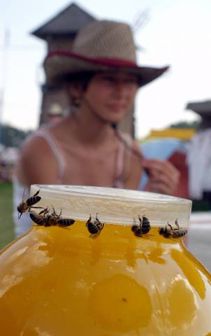 На Сорочинской ярмарке (16 фото)