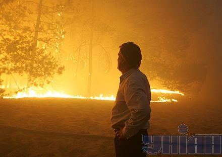 Как Ющенко с Шуфричем лесной пожар гасили (фоторепортаж)
