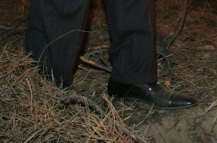 Как Ющенко с Шуфричем лесной пожар гасили (фоторепортаж)