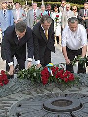 Янукович, Ющенко, Плющ