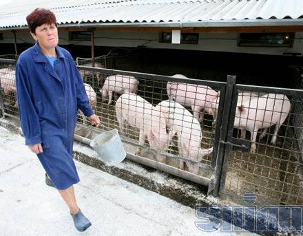 Замість м’яса Януковича Луценко знайшов м’ясо Сталіна (фоторепортаж)