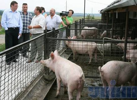 Замість м’яса Януковича Луценко знайшов м’ясо Сталіна (фоторепортаж)