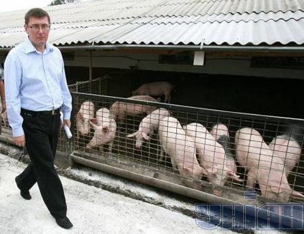 Замість м’яса Януковича Луценко знайшов м’ясо Сталіна (фоторепортаж)