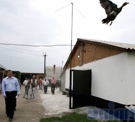 Замість м’яса Януковича Луценко знайшов м’ясо Сталіна (фоторепортаж)