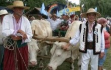 Хівря й Черевик закриють Сорочинський ярмарок