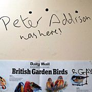 Поліція зловила виконавця найбезглуздішого злочину (фото)