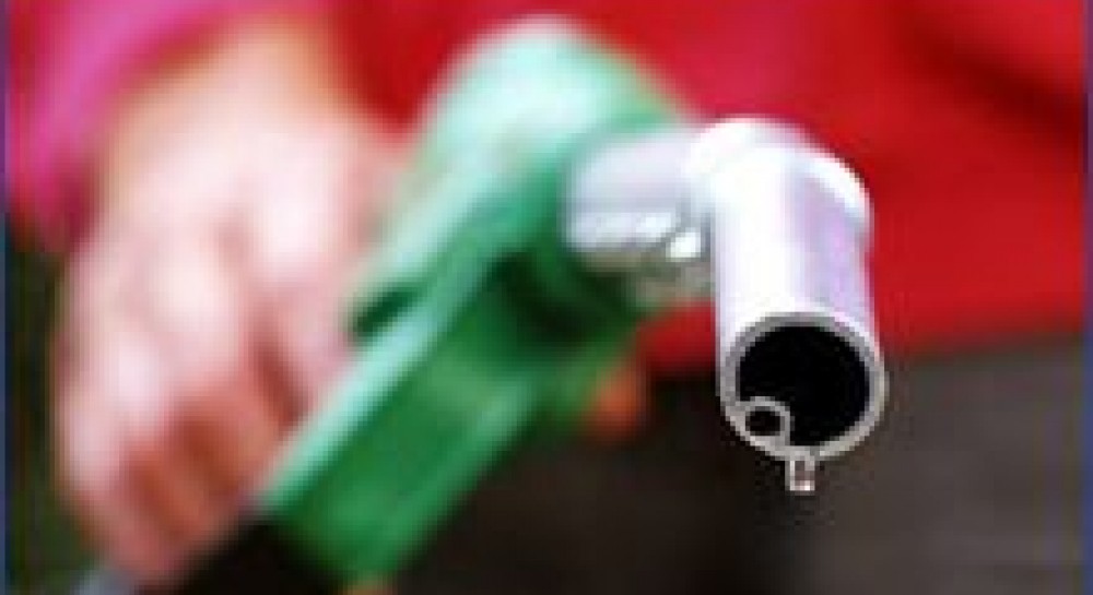Big business muddies EU debate on biofuels target as prices soar