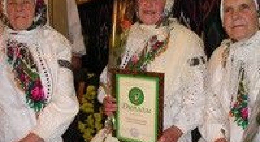 Подільське село презетнувало своє мистецтво у столиці