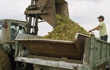 Прокуратура требует вернуть «Ливадии» более 29 га земли