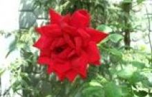 Погода на 19 жовтня