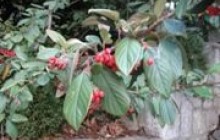 Прогноз погоди у Криму