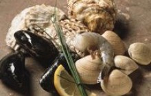 10 поводов подумать о рыбе