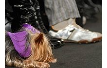 Украинская мода финишировала по-итальянски