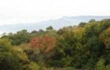 Погода на 21 жовтня