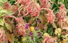 Погода в останні дні жовтня

