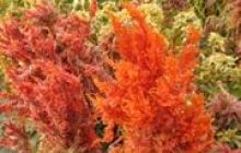 Погода на вихідні