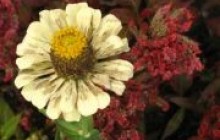 Погода на вихідні