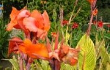 Погода на завтра