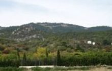 Погода в Криму до п’ятниці 