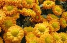 Погода в Криму на 22-24 жовтня