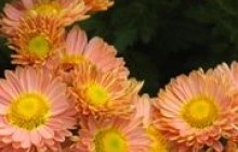 Погода на 1-2 листопада