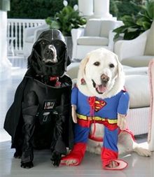 Буша рассмешил костюм Чейни на Хэллоуин