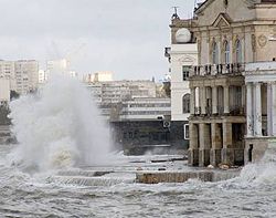 У Криму лютує буревій: сотні повалених дерев, зірвані дахи