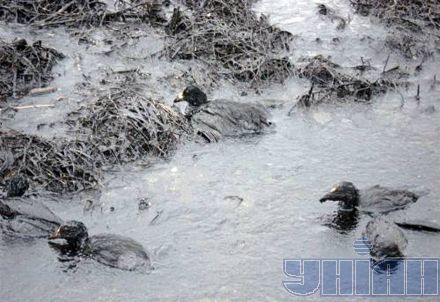 Що російський танкер зробив з Чорним морем (фоторепортаж)