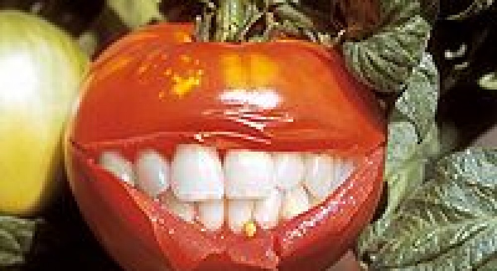Отмена маркировки ГМ-продуктов - масштабный биологический эксперимент над украинцами
