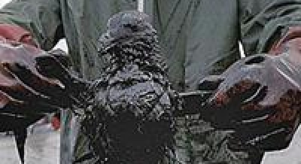 Керченська трагедія (фото)