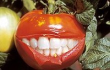 Отмена маркировки ГМ-продуктов - масштабный биологический эксперимент над украинцами