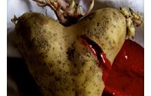 Кому потрібні генетично модифіковані продукти і що ми з ними робитимемо?
