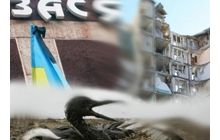 Что общего у донецкой, днепропетровской и керченской трагедий?