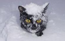 Погода у Криму до п’ятниці