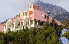 Фракция Партии регионов сбросилась на сервиз для Януковича