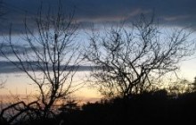 Погода в Криму до 20 грудня