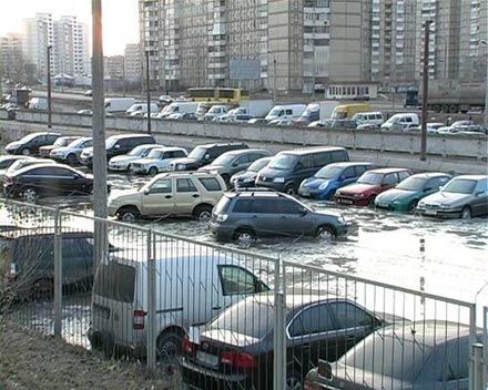 Фото Магнолії ТВ